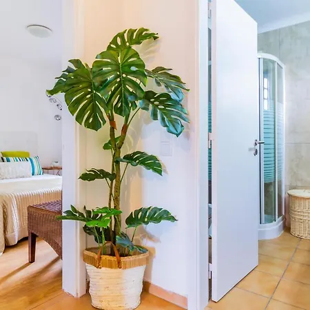 Daire Sunny Oasis With Pool Albufeira